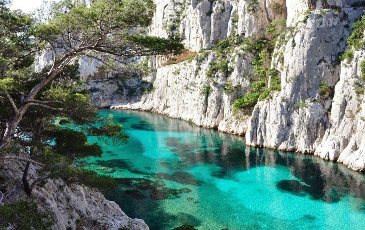 Le Patio Des Mimosas Par Dodo-A-Cassis Bed & Breakfast Luaran gambar